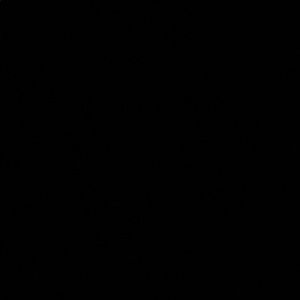 Meet your Posher, Licet